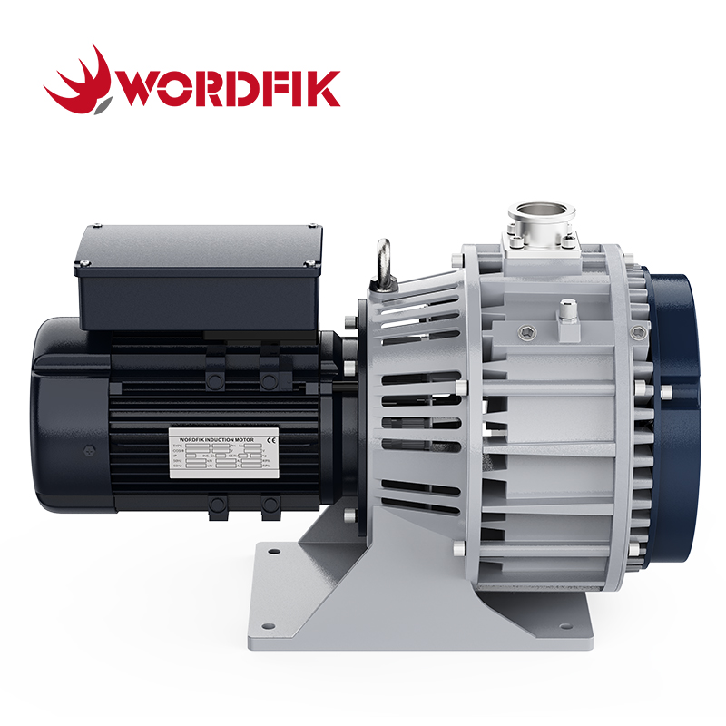 WordFik PLWX800 12L/S 14.4L/S 1PA Vacuum Pump для полупроводникового производства