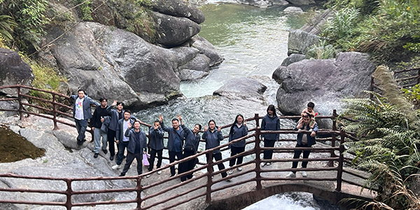 вордфик команда-3