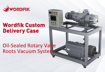 Доставка вакуумной системы с роторными лопастями Wordfik по индивидуальному заказу с масляным уплотнением