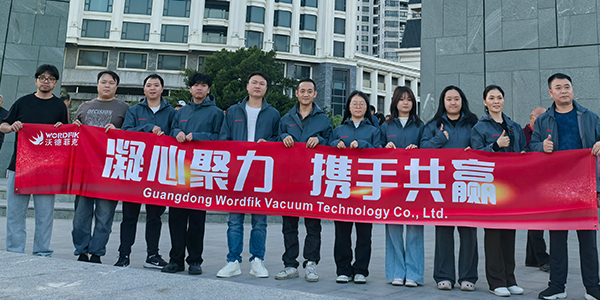 вордфик команда-6