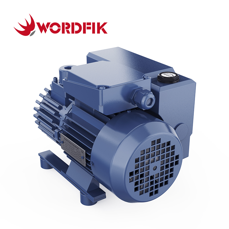 WordFik PVX16 Небольшой масляный вакуумный насос роторного лопата 16-19 м³/ч