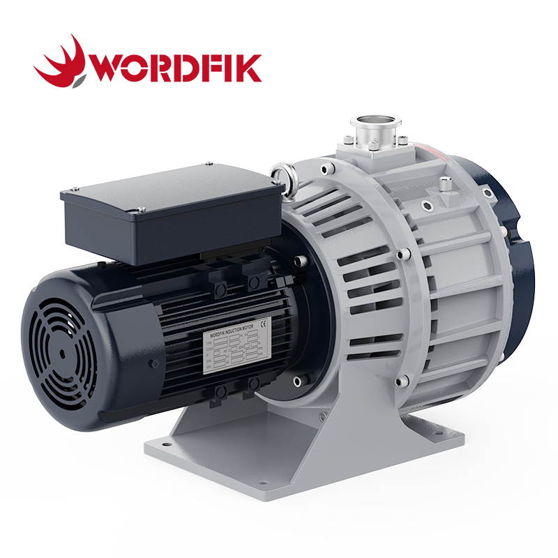 PLWX600 БЕСПЛАТНЫЙ СВИК ПАКУУМСКИЙ насос для производства полупроводников