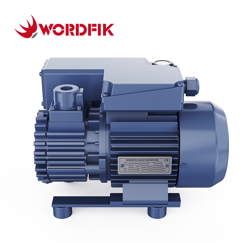 WordFik PVX16 Небольшой масляный вакуумный насос роторного лопата 16-19 м³/ч