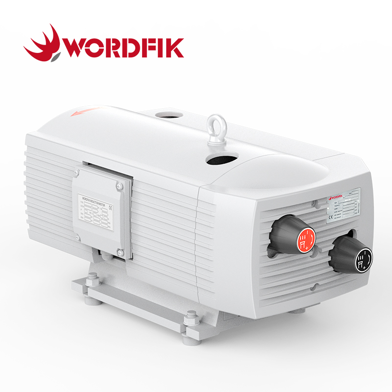 WordFik Pvt40 без масляного вакуумного и давления насос