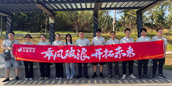 вордфик команда-2