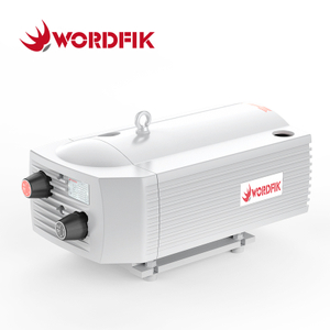 WordFik Pvt40 без масляного вакуумного и давления насос