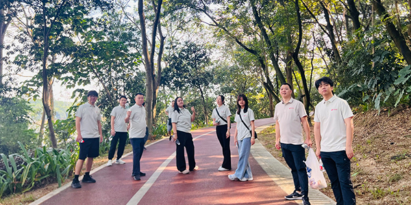 вордфик команда-1