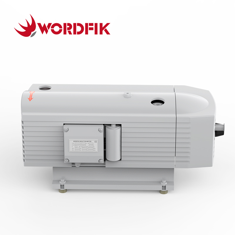 WordFik TD10 Dry Otary Vane Компрессор 10 м³/ч 12 м³/ч +1000 мбар