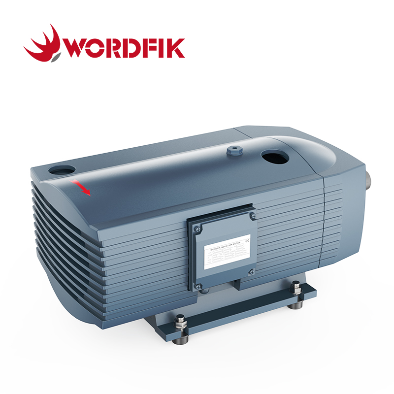 WordFik Pvt16 сухой роторный ванной вакуум. Насос Сложный насос 16 м³/ч 20 метров/ч ± 600 мбар