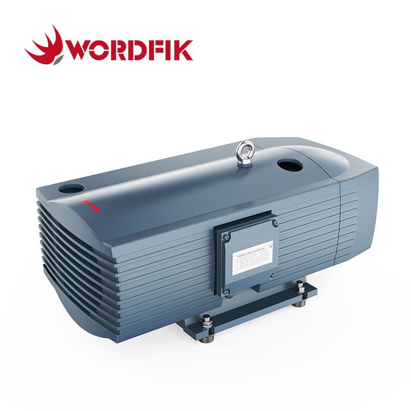 WordFik TD40K Компрессор сухого вращающегося лопасти/насос давления 40 м³/ч 48 м³/ч