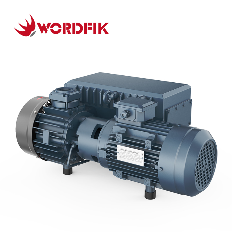 Wordfik Vacuum PVX63 Пластинчато-роторный вакуумный насос с масляным уплотнением 63 м³/ч 78 м³/ч 50 Па