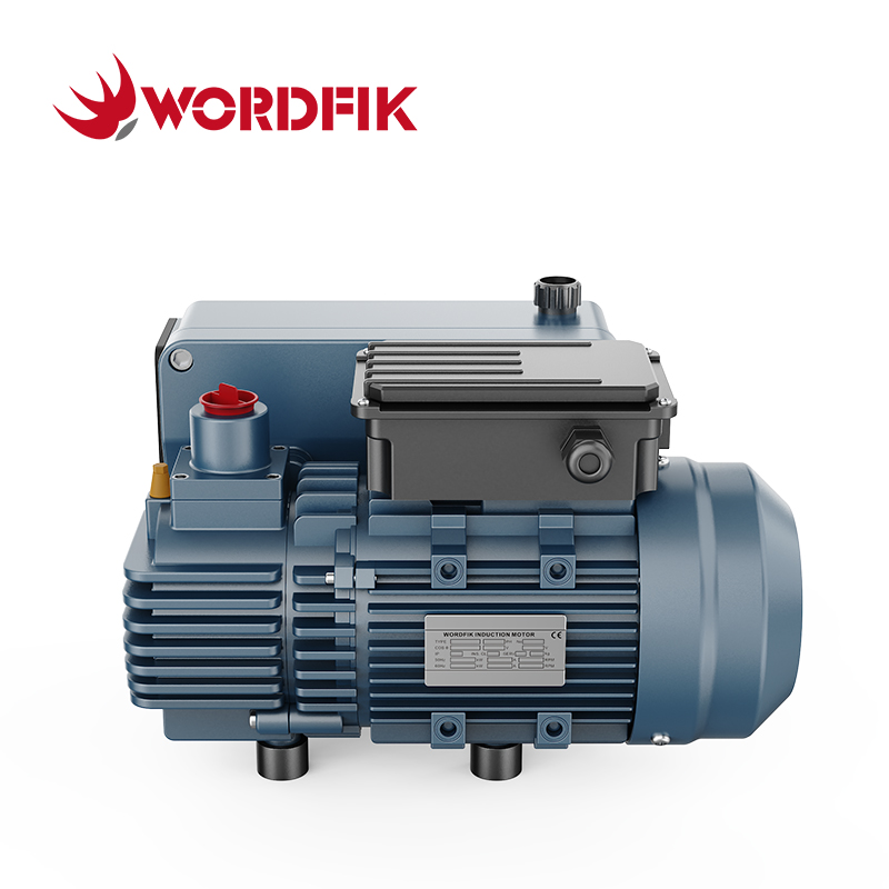 Компактный пластинчато-роторный вакуумный насос Wordfik PVX25D с масляным уплотнением для упаковочной машины производительностью 20–24 м³/ч