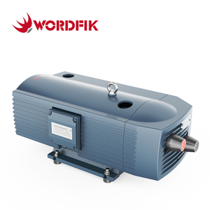 WordFik Pvt40 без масляного вакуумного и давления насос