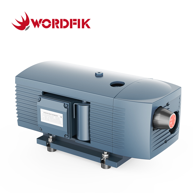Wordfik VD16 16 м³/ч 19,2 м³/ч 150 мбар Безмасляный пластинчато-роторный вакуумный насос для процесса автоматизации