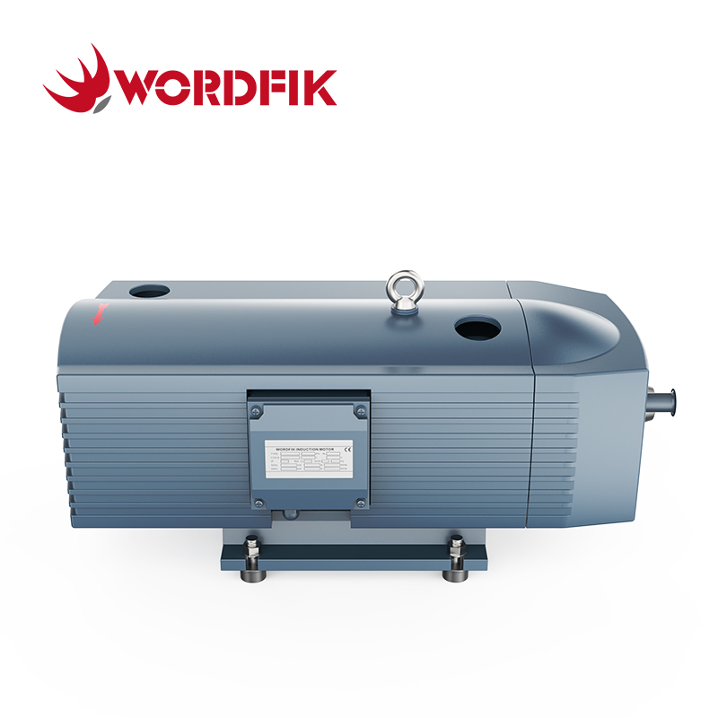 WordFik TD40K Компрессор сухого вращающегося лопасти/насос давления 40 м³/ч 48 м³/ч